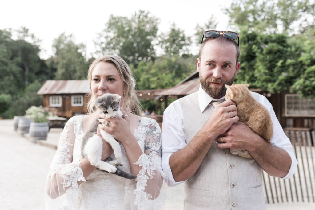 bride and groom holding kittens at wedding