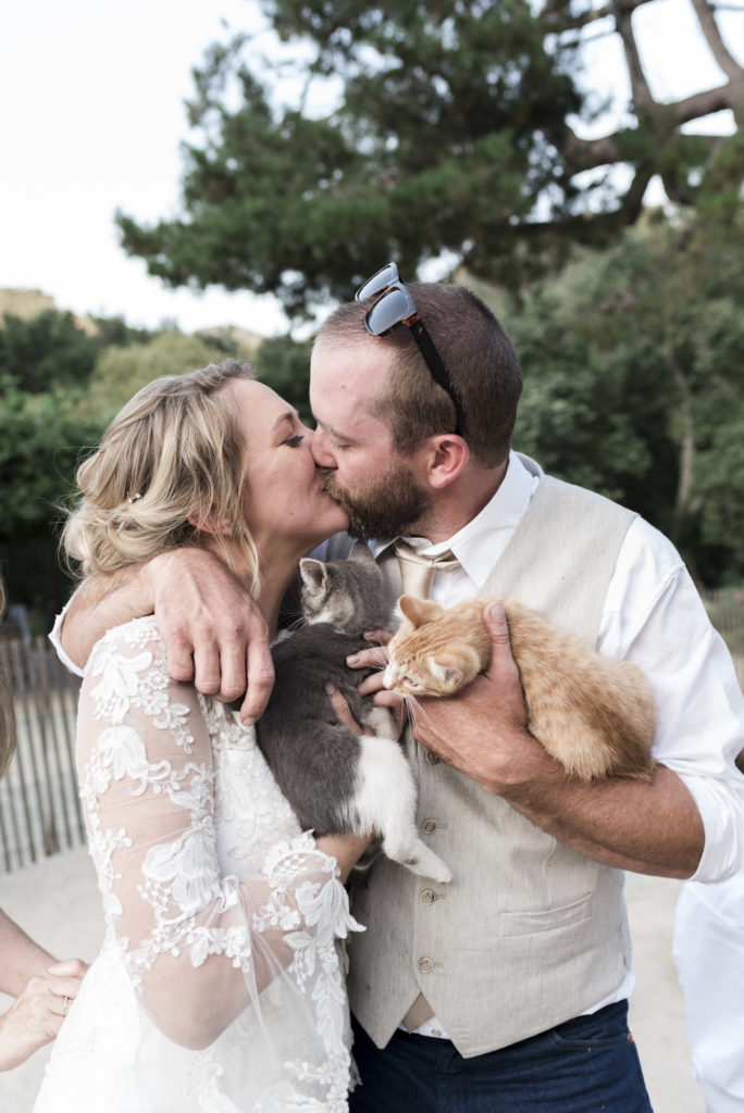 bride and groom holding kittens at wedding