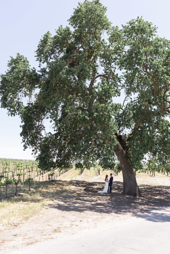 First Look under the Oak tree at Paso Robles wedding venue Rio Seco Winery photographed by San Luis Obispo wedding photographer Kirsten Bullard