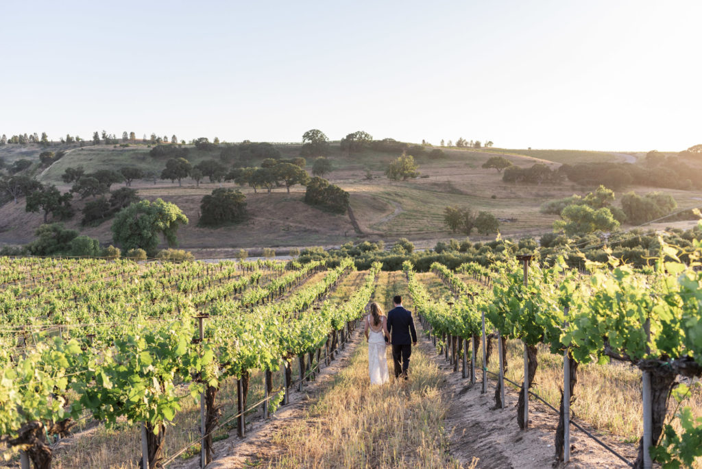 Bride and Groom in the vineyard at Paso Robles wedding venue Rio Seco Winery photographed by San Luis Obispo wedding photographer Kirsten Bullard